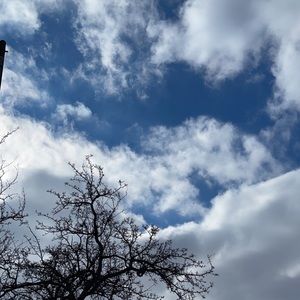 Meet your Posher, Devanshi